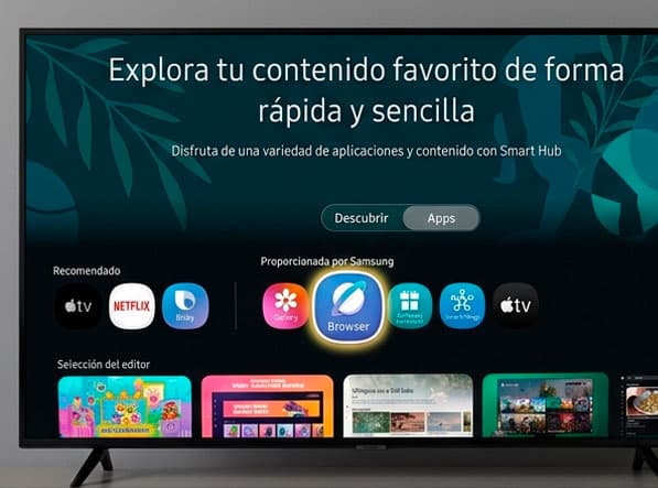 En tu TV abrís tu navegador (Browser).